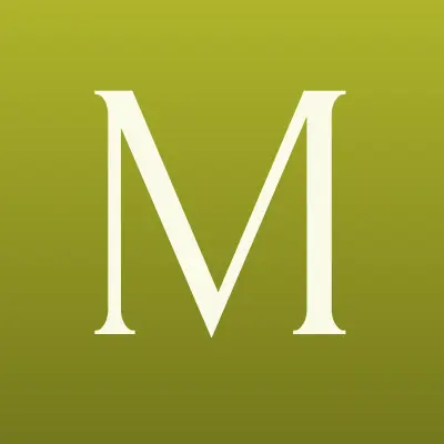 Мастер Ватт